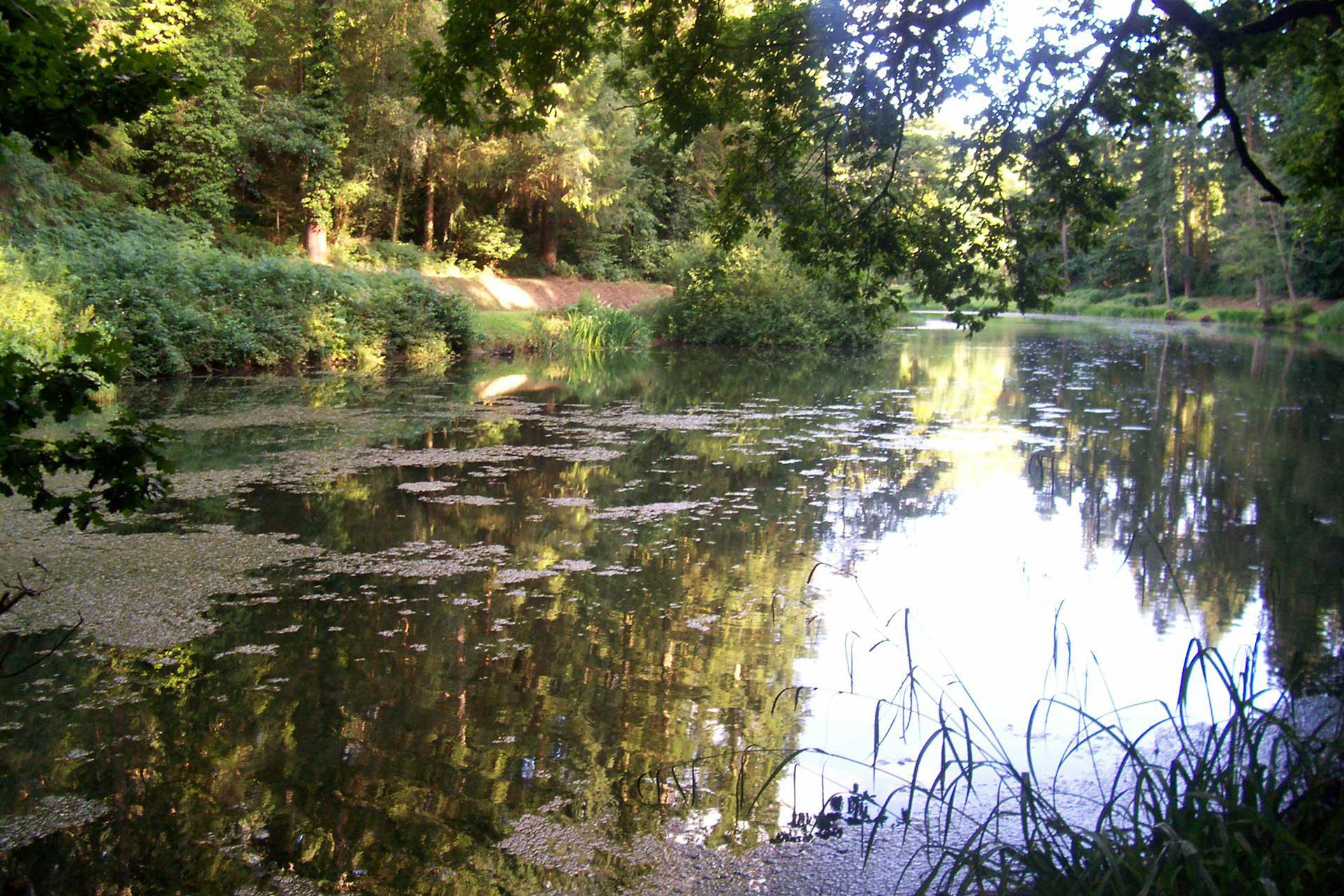 Soudley Ponds